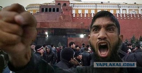 Не провоцируй  животных