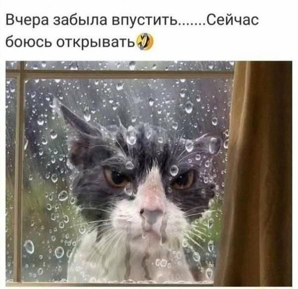 Картинок пост 1.11.2023