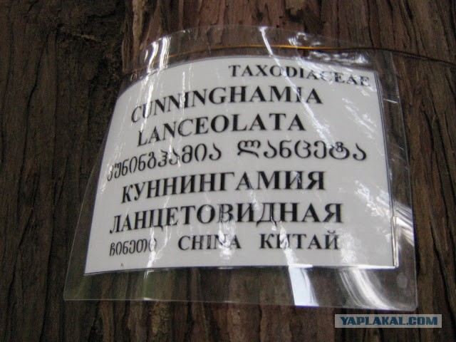 Почистил телефон