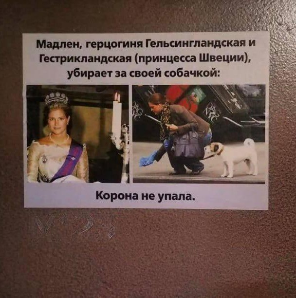 Инструкция от собачника