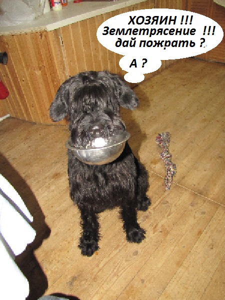 Землетрясение в Москве