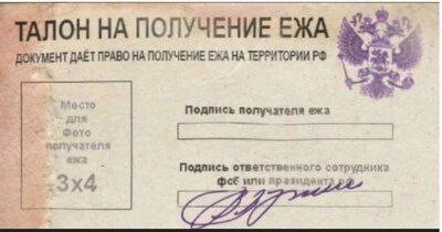 ГД одобрила в первом чтении законопроект об ограничении сбора кедрового ореха