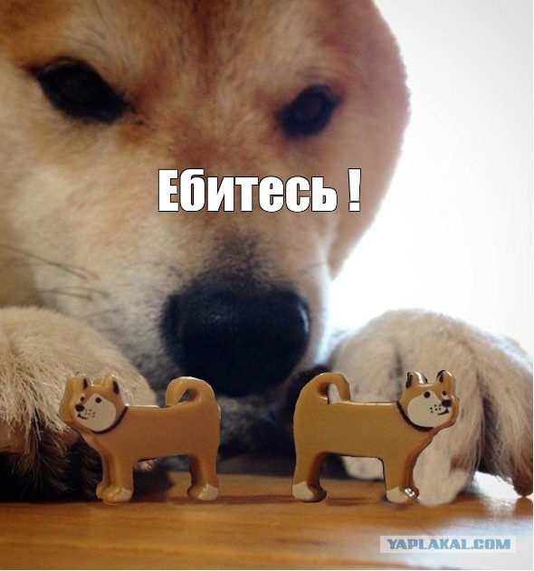 Врачи предупреждают, что длительное отсутствие секса ускоряет старение