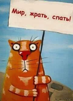 Вологодские депутаты приняли закон, ограничивающий продажу алкоголя на территории области