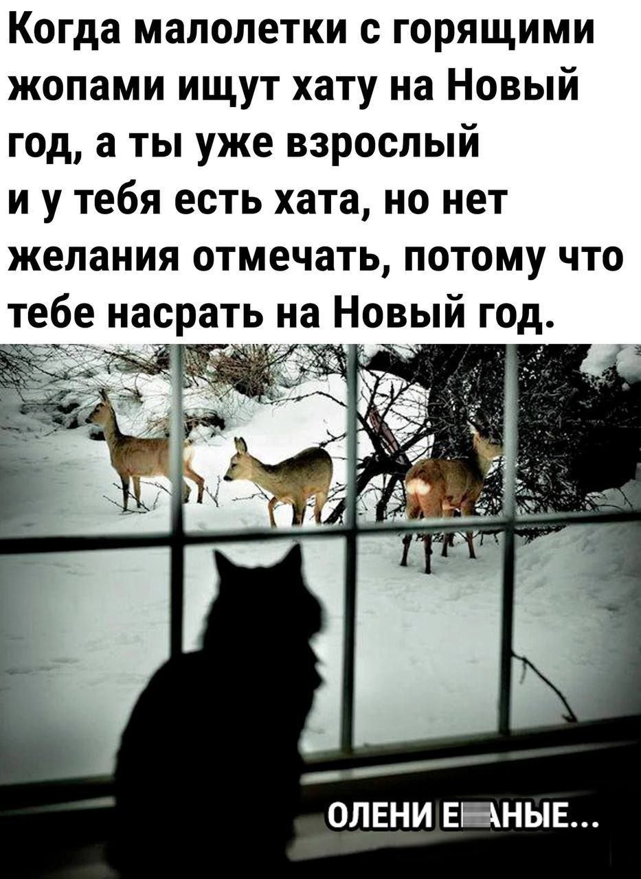 Зависть