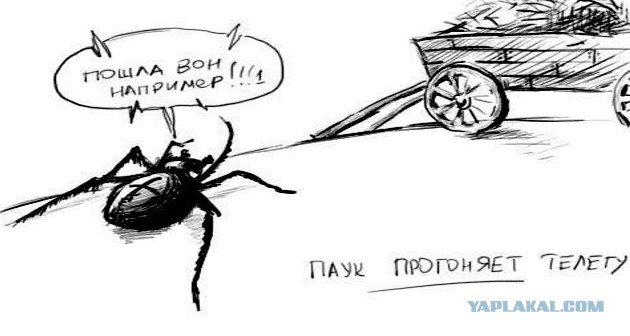 База, тащемта