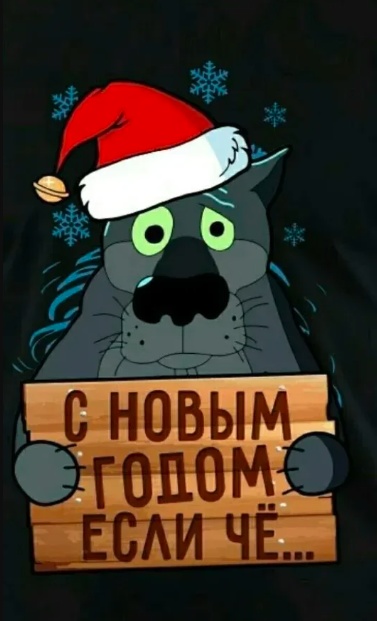 Весёлый полтишок 31.12.24