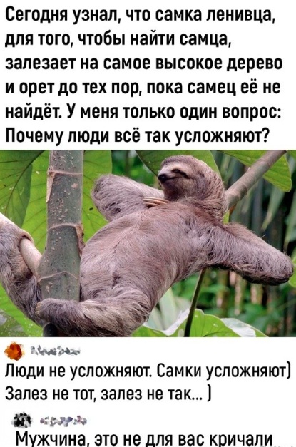 Картинки разные с надписями и без