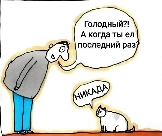 Молодцы детки!