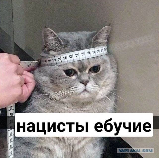Я русский!