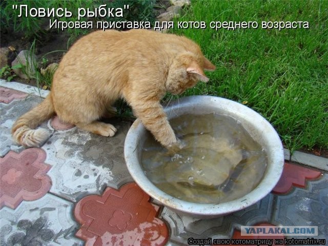 Осталось совсем немного