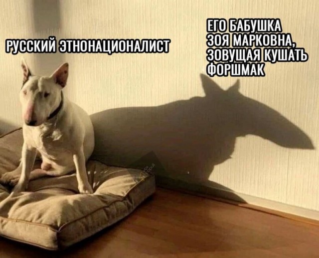 Произраильская активистка Уши Глас выяснила, что ее отец служил в СС.