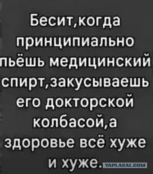 Картиночки, баянчики 08 декабря