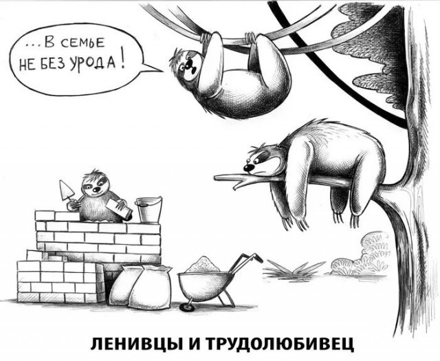 Картинки для деградации 224 (разной степени свежести)