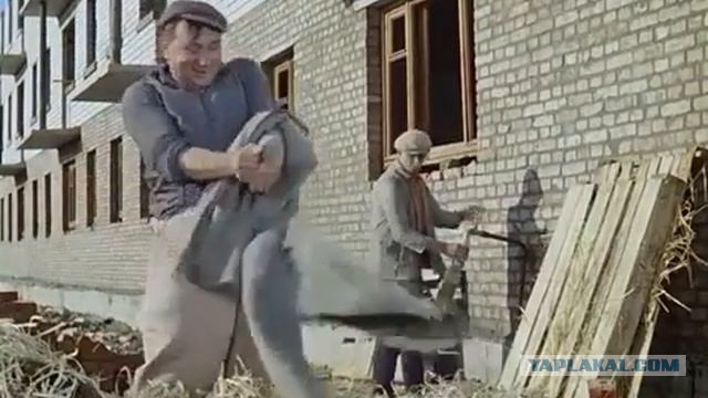 Кто такие пробуждённые