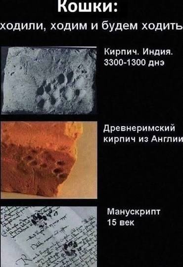 Марсоход NASA Curiosity обнаружил на Марсе странные «отпечатки ног» — учёные пока не знают, откуда они взялись