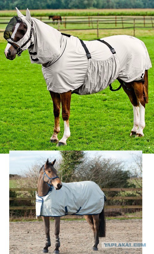 Без лифчика