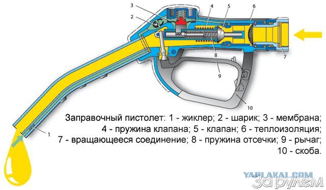 Воришки мелочи в законе