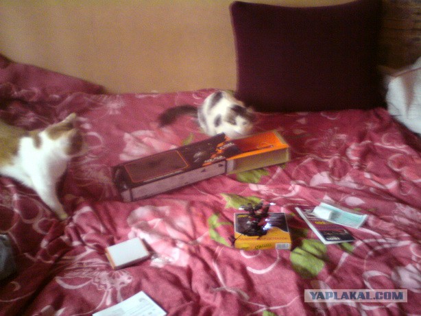 Без паники земляне