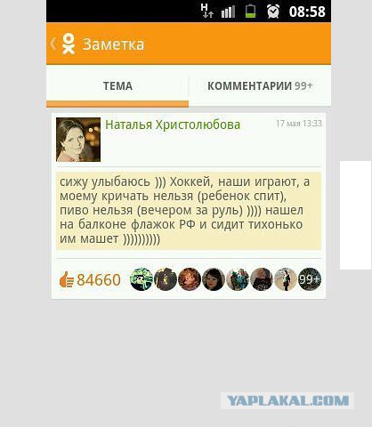 Комментарии из Сети