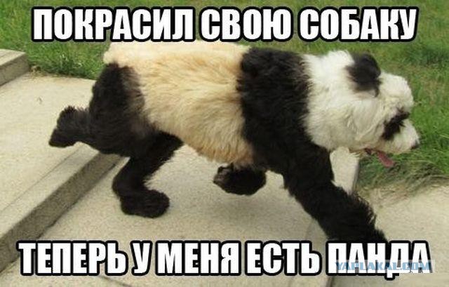 Ведмедь  (GIF)