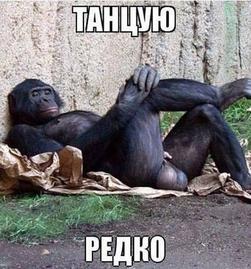 Когда гормоны бушуют