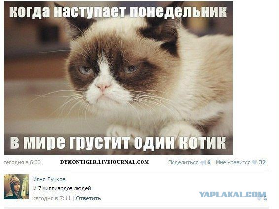 Смешные комментарии из социальных сетей #2