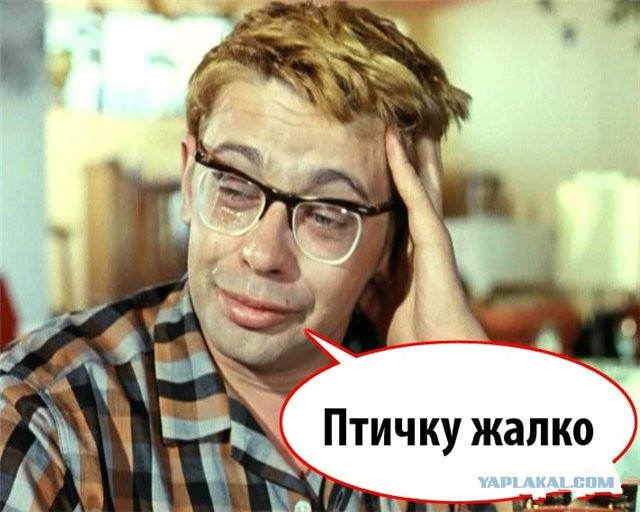 Туристы час кружили над морем в горящем самолете