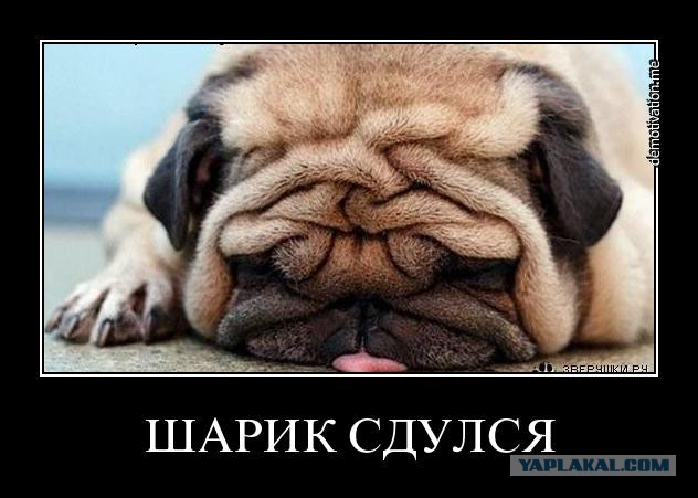 Мне 44 года
