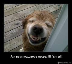 Фекальный террор,