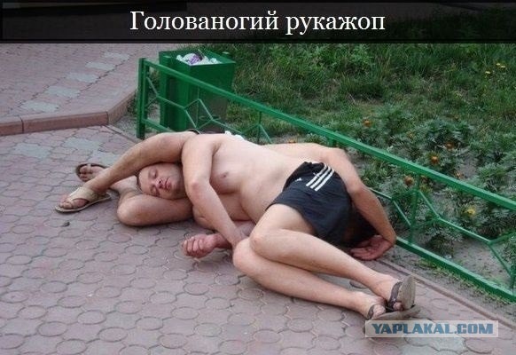 Шорты рукожопа!