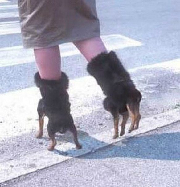 Очередная порция картинок