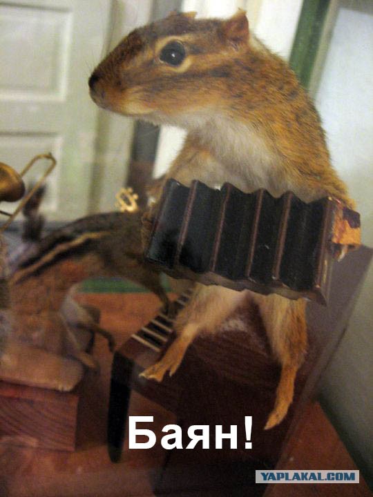 Музей неудачных Чучел