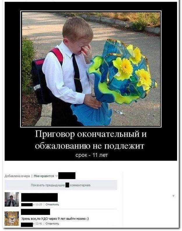 Смешные комментарии из социальных сетей