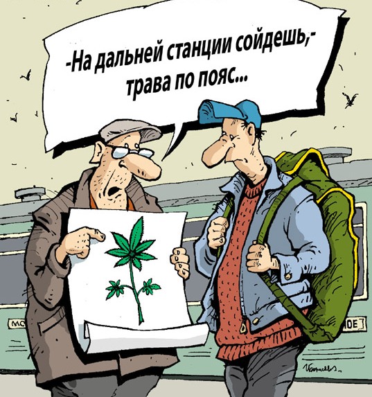Минутка наркомании на ЯПе