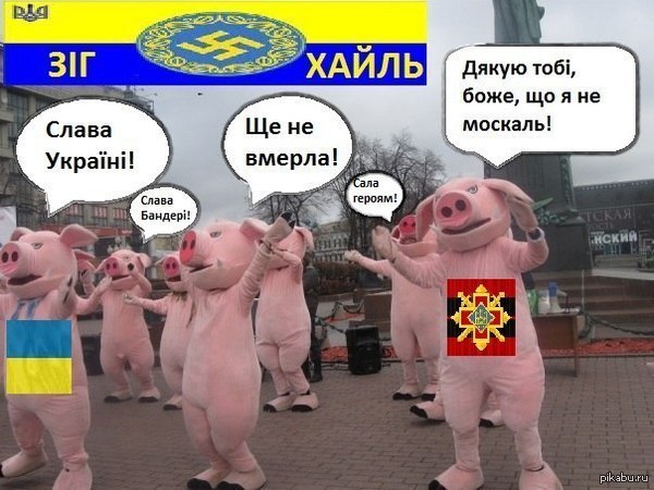 Украина 2015 глазами москаля