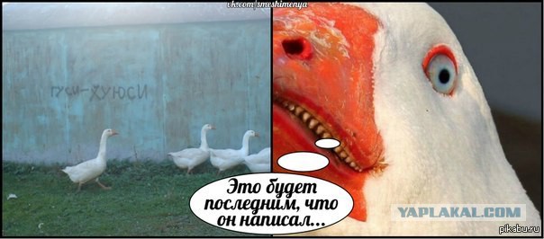Самая опасная тварь на Земле