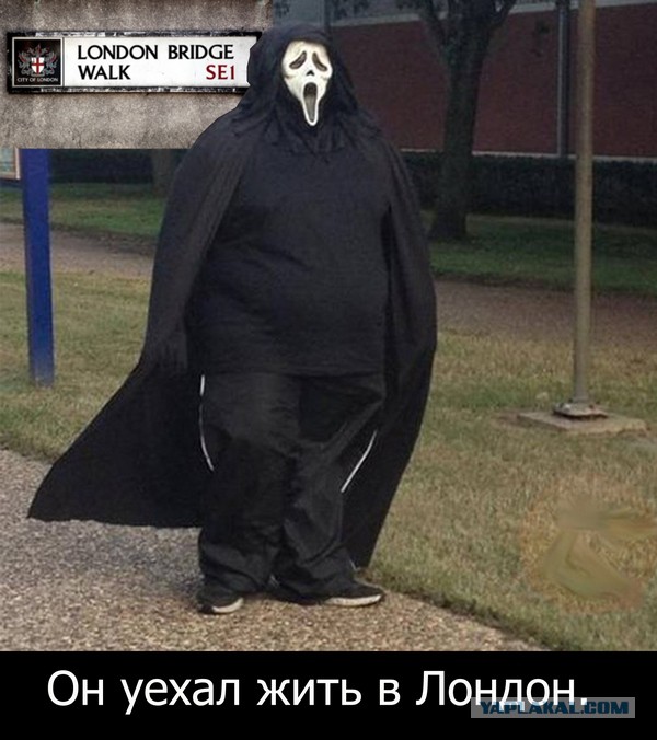 Картинки на пятницу