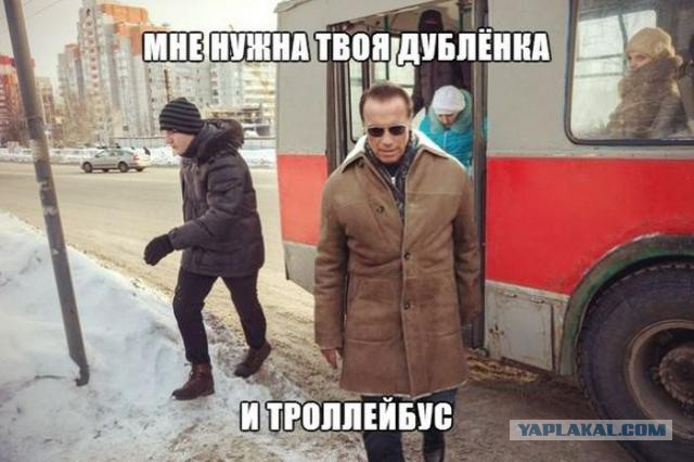 Картинки  из сети