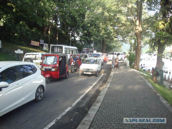 Самостоятельное путешествие в Шри-Ланку