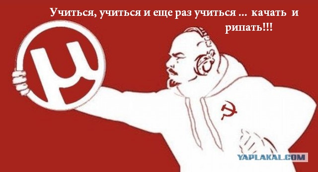 От "Роскомсвободы" потребовали перестать рассказывать о способах обхода блокировок