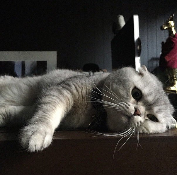 Подборка картинок на среду