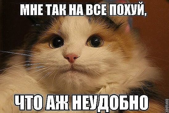 В Европе начали собирать подписи против итогов "Евровидения"