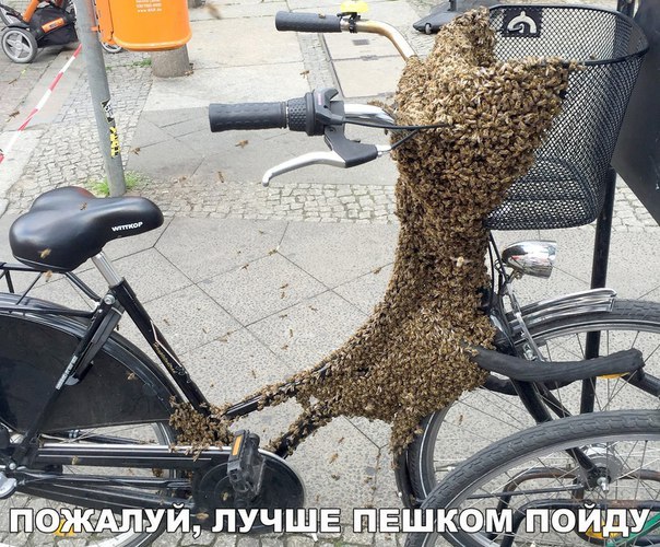 Весёлые картинки для настроения