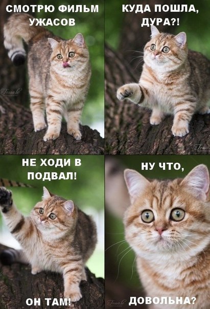 Непридуманные мистические истории