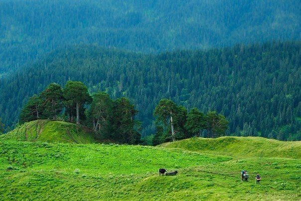 Картинки для отдыха глаз