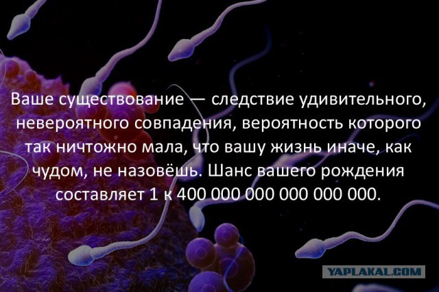 39 интересных фактов в картинках