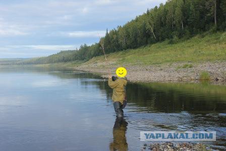 Тайга, страшные истории