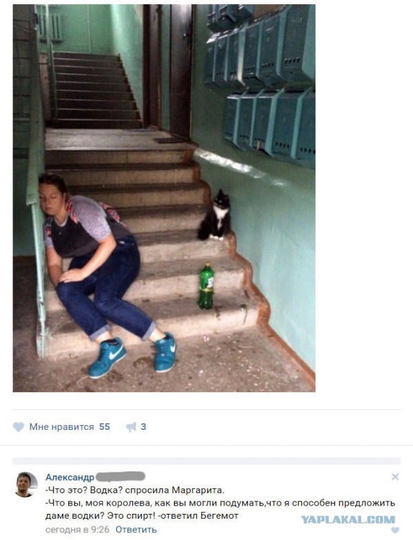 Подборка интересных и веселых картинок