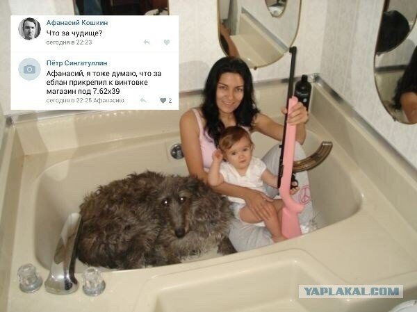 Привет из соцсетей